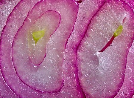 Macro close up detail of cut onion porous surface, vegetable juicy background.の写真素材