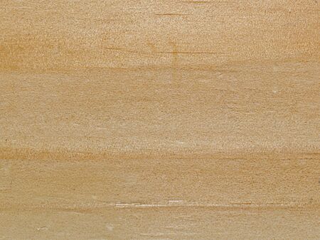 Close up detail of pine board textured surface.の写真素材