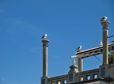 Seagulls on columns on building roof against blue sky, at  Big Island (Buyuk Ada), Turkey.の写真素材
