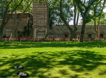 Idyllic scene from Topkapi palace inner yard, Istanbul, Turkey. Light and shadow on grass red flowers and ancient wall.のeditorial素材