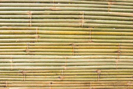 Bamboo texture background