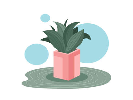Home snake plant in a pot illustration. Vector sansevieria isolated on white abstract background. Botanical cozy colored green snake plant leaves illustration for natural design in modern hygge styleのイラスト素材