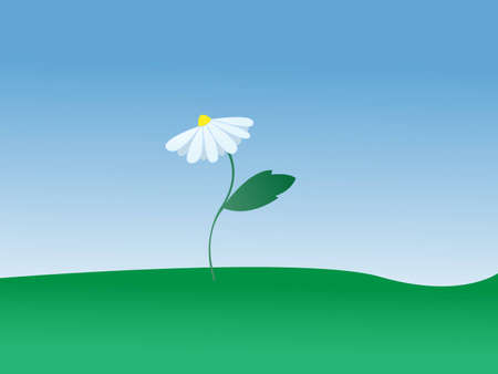 daisy growing in the meadowのイラスト素材
