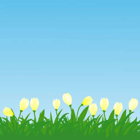 horisontal spring flowers and grass illustrationのイラスト素材