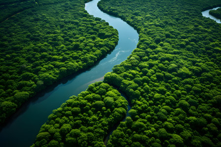 Aerial view of a river in the middle of a green forestの素材