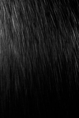rain on a black backgroundの写真素材