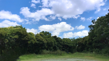 white clouds in the blue sky in the parkの写真素材