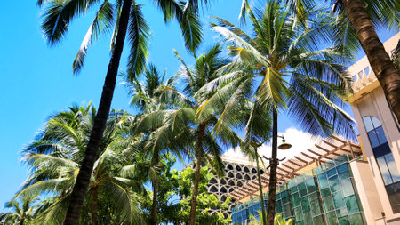 Hawaii cityscape, blue sky with white cloudsの写真素材