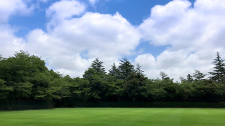 white clouds in the blue sky in the parkの写真素材