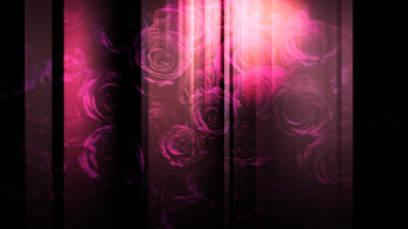 A graphic image that moves left and right with a roseの写真素材