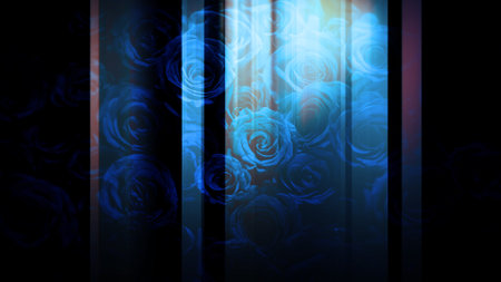 A graphic image that moves left and right with a roseの写真素材