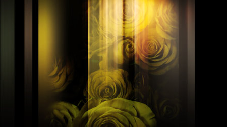 A graphic image that moves left and right with a roseの写真素材