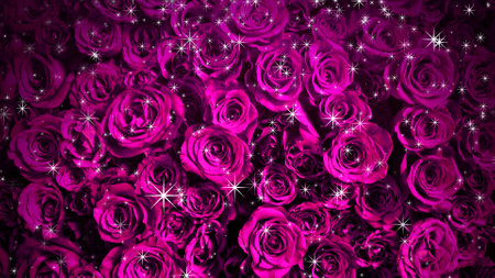 Image of sparkling roses on a backgroundの写真素材