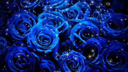 Image of sparkling roses on a backgroundの写真素材