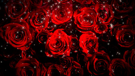 Image of sparkling roses on a backgroundの写真素材