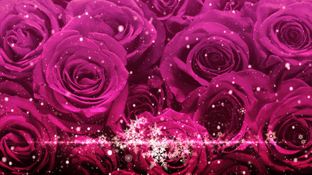 Crystal of snow and glitter flutter on rose backgroundの写真素材