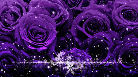 Crystal of snow and glitter flutter on rose backgroundの写真素材