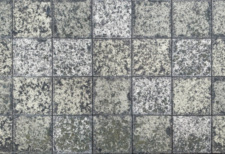 White and gray tile wall texture. Abstract background and texture for design.の写真素材