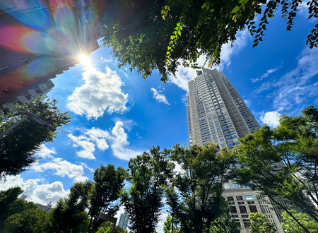 Tokyo Metropolitan Government Building, Shinjuku skyscrapers, blue sky, white clouds and greenery, daytimeの写真素材