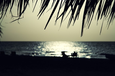 ocean               の写真素材