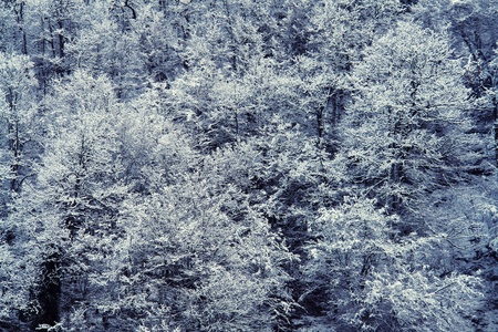 snowの写真素材