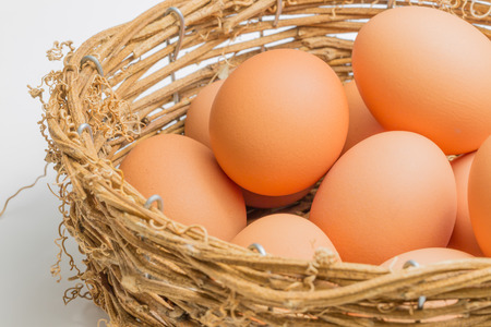 Egg on white backgroudの写真素材