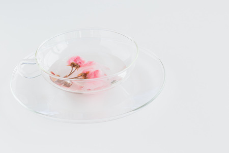 Cherry blossom teaの写真素材