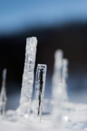 icicleの写真素材