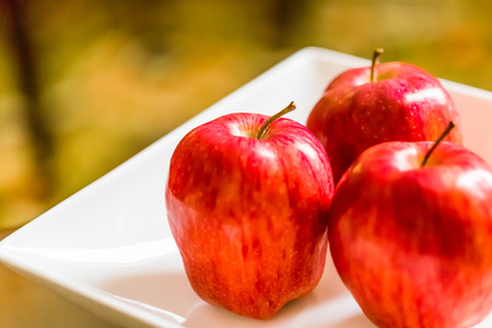 Appleの写真素材