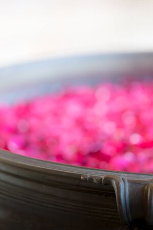 rose petalsの写真素材