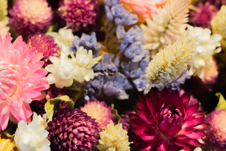 Bouquet of dry flowersの写真素材