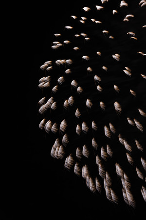 Fireworks light up the skyの写真素材