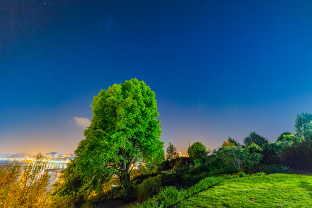 Night sky in Puerto Varasの写真素材