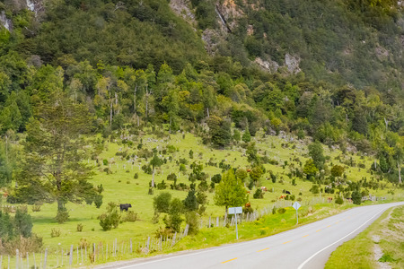 View of Patagonia, Chileの写真素材