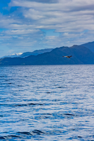 Sea and blue skyの写真素材