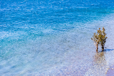 Water surface texture backgroundの写真素材