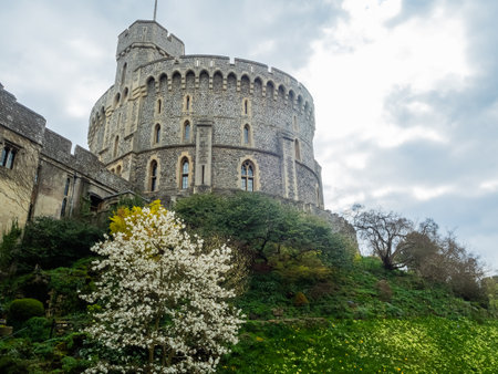 windsor castle with tree, london, ukのeditorial素材