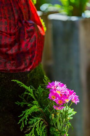 bellflower, purple flower in gardenの写真素材