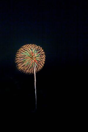 Fireworks light up the skyの写真素材