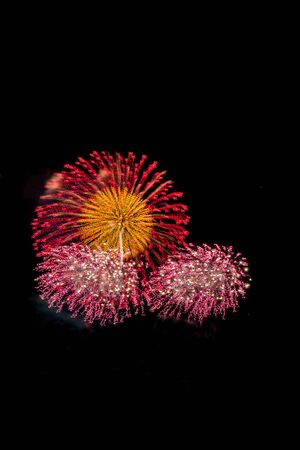 Fireworks light up the skyの写真素材