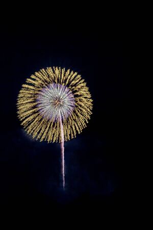Fireworks light up the skyの写真素材