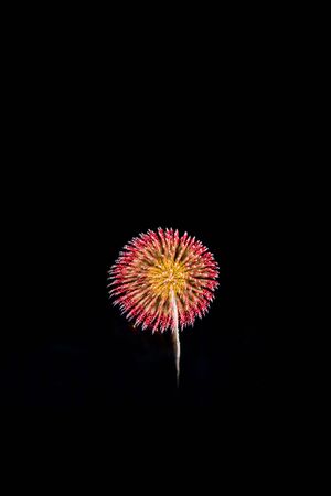Fireworks light up the skyの写真素材