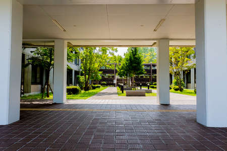 kawauchi campus of tohoku university, japanの写真素材