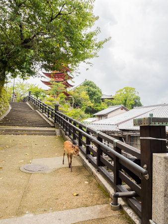 five storied pagoda, itsukushima jinja on miyajima island in japanのeditorial素材