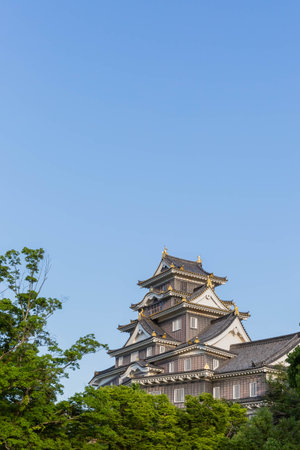 old Japanese castle, Okayama joのeditorial素材