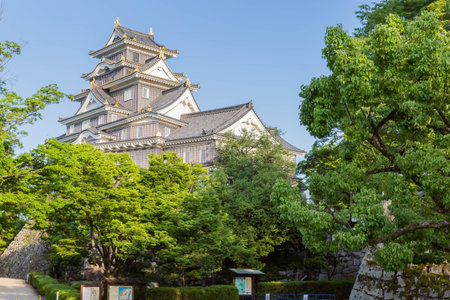 old Japanese castle, Okayama joのeditorial素材