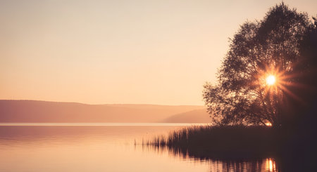 Golden hour sunrise casts a warm glow over a tranquil lake, with the sun's rays bursting through the silhouette of a lone tree on the shore, creating a serene and peaceful natural landscape.の素材