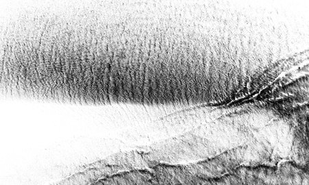 This grainy texture showcases an abstract design with a dynamic feel. The black and white color...