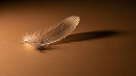 feather of a bird on a brown background. soft focus.の素材