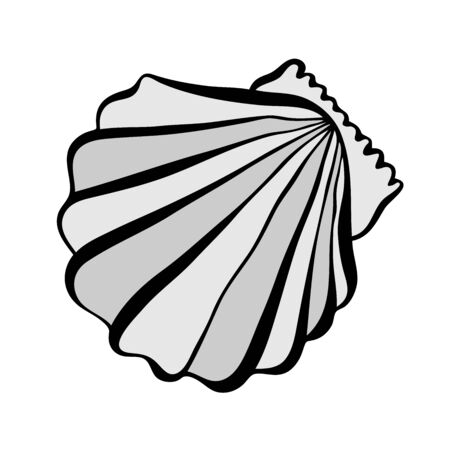 Vector black and white illustration with seashells.